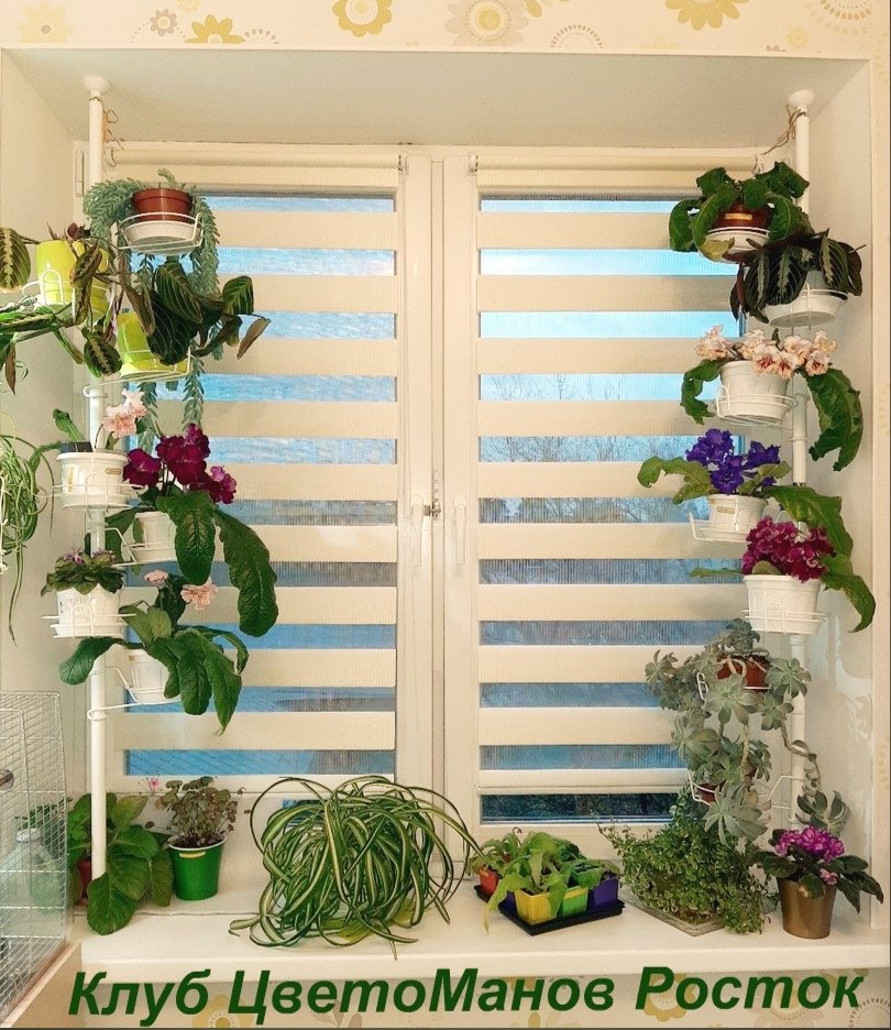 распорка металлическая для растений на окно. Фото N20